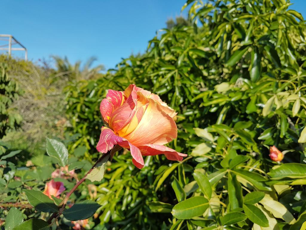 Вилла Casas Tipicas Algarvias Arroteia de Baixo Экстерьер фото